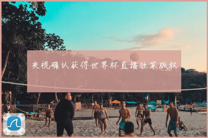 央视确认获得世界杯直播独家版权