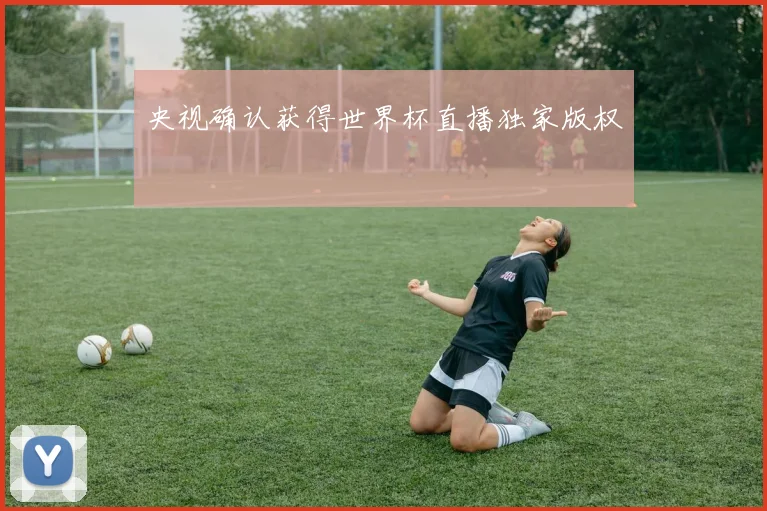 央视确认获得世界杯直播独家版权