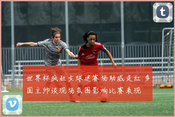 世界杯疯狂女球迷赛场助威走红 多国主帅谈现场氛围影响比赛表现