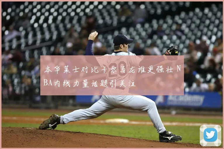 本华莱士对比卡尔马龙谁更强壮 NBA内线力量话题引关注